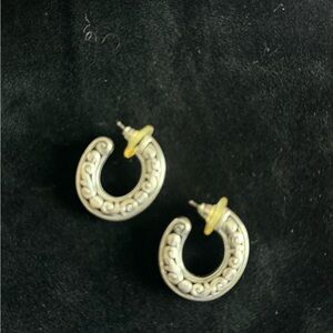 Elegant Silver Hoop Earrings